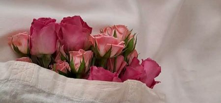 Beautiful Nature image