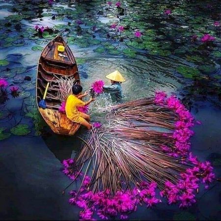 Beautiful Nature image