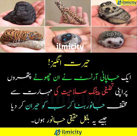 Interesting Posts image