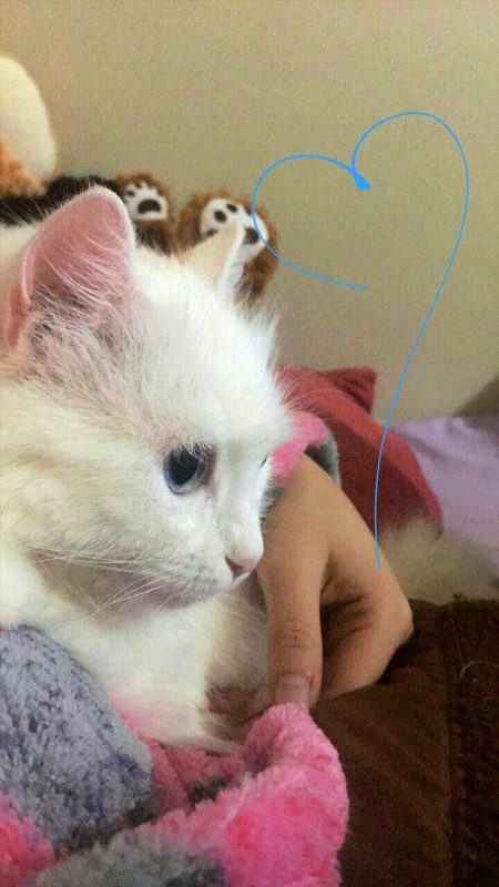 Beautiful Nature image