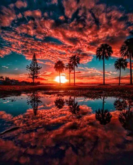 Beautiful Nature image