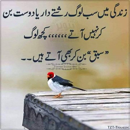 Life Advice image