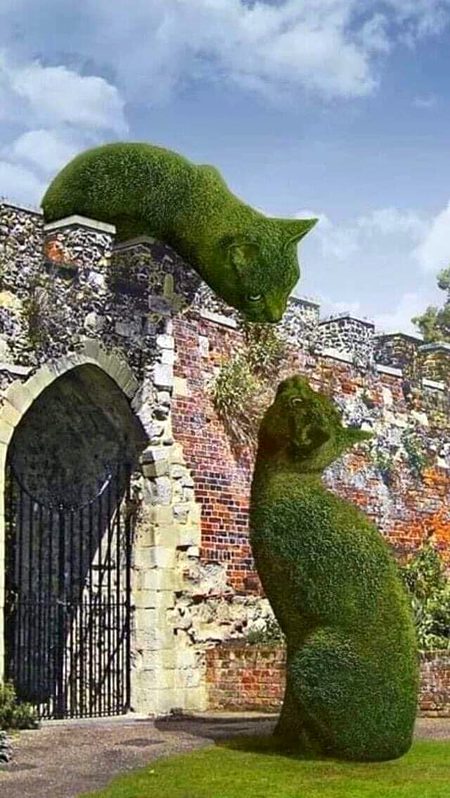 Beautiful Structures image