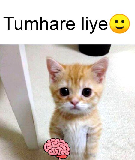 Memes & Satire image