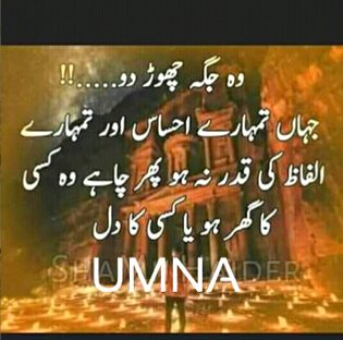 Beshak and es ly to mein ny  d.d k dhoky baaz fake Logo ko chor dia