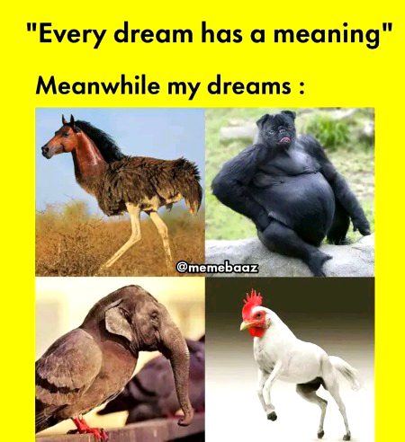 Memes & Satire image