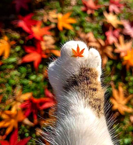 Beautiful Nature image