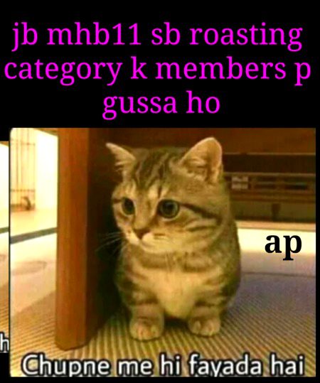 Damadam Roasting image