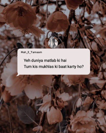 Life Advice image