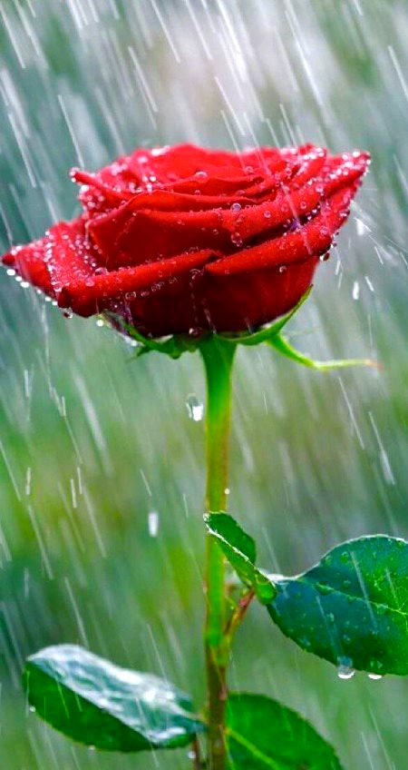 ONLY FOR YOU