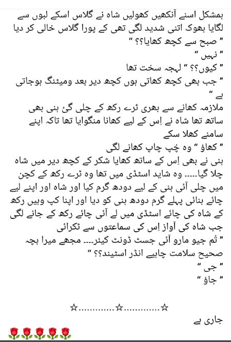 Romantic Novels image