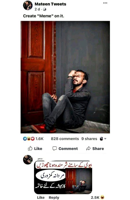 Memes & Satire image