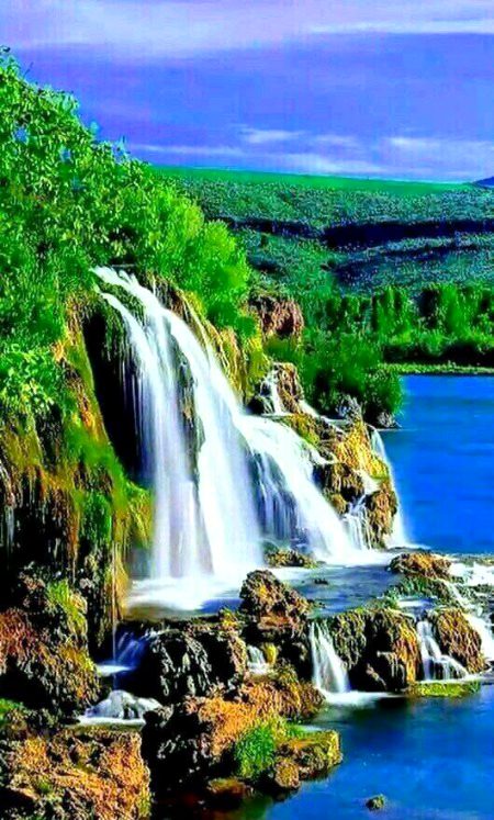 Beautiful Nature image