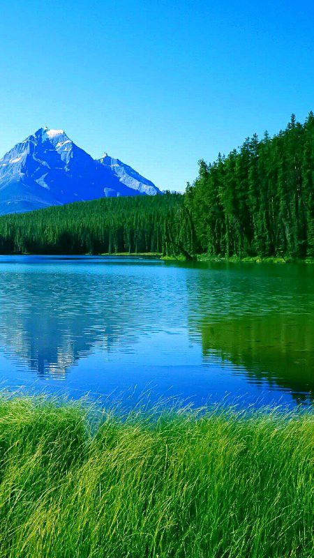 Beautiful Nature image