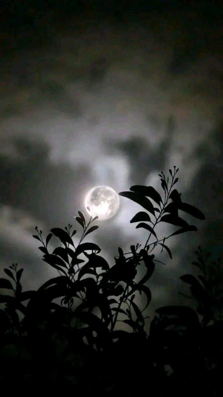 Beautiful Nature image