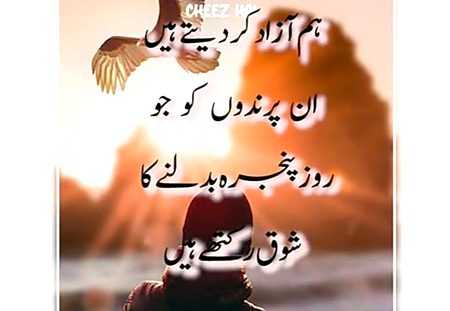 Attitude Quotes image