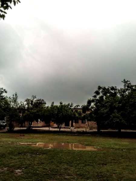 Beautiful Nature image