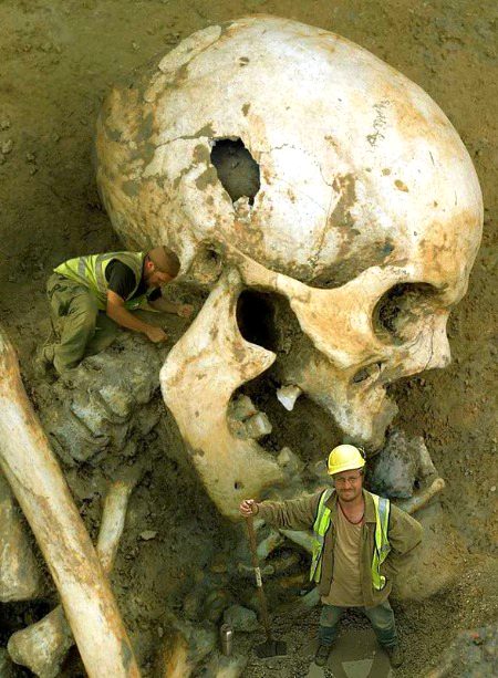 Some mysteries Photo
Qom lod