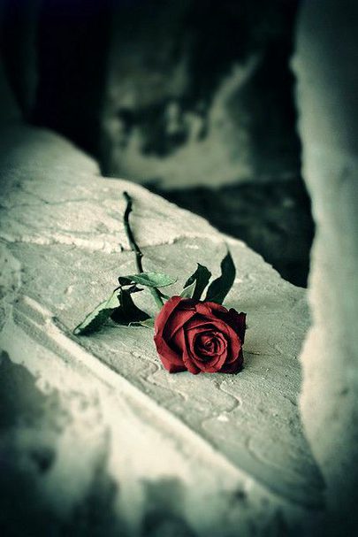 Beautiful Nature image