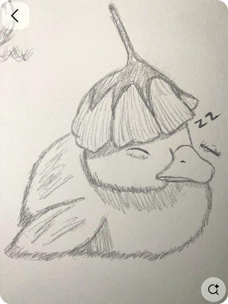 رمضان وہ مہینہ ہے
جو دلوں کو پاک کر دیتا ہے