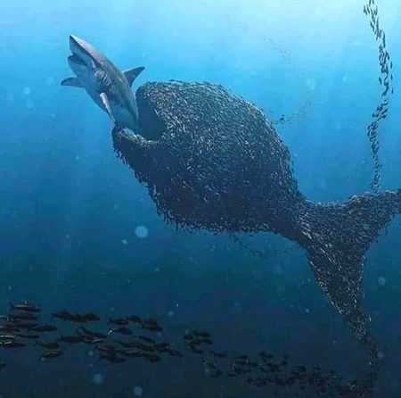 Describe picture?