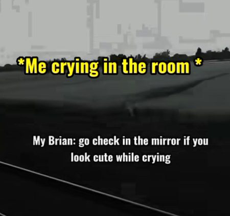 Memes & Satire image