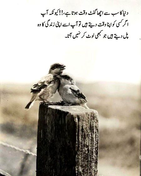 Life Advice image