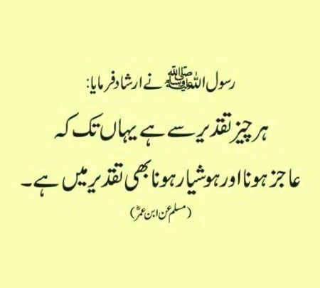 Islamic Quotes image