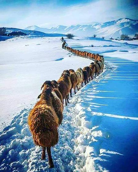 Somewhere in kargil pakistan💕