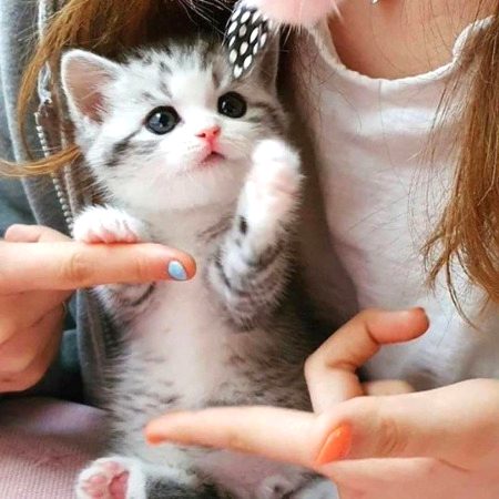 Beautiful Nature image