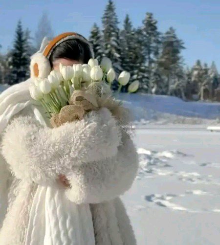 Beautiful Nature image