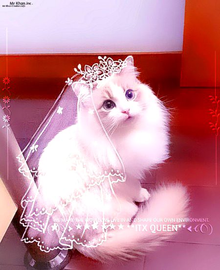 Beautiful Nature image