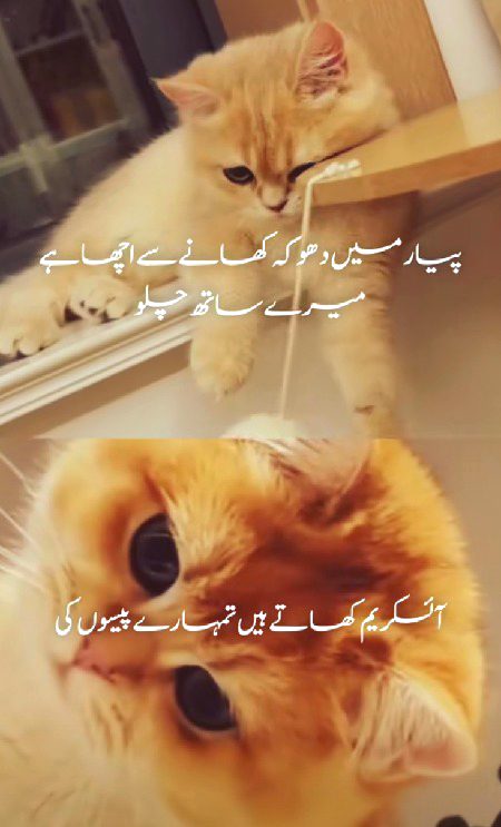 Jokes image