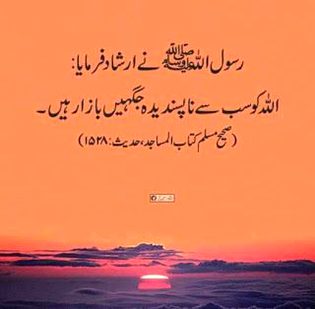 Islamic Quotes image