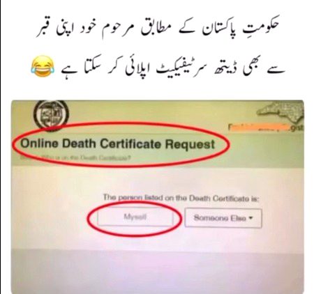 Memes & Satire image