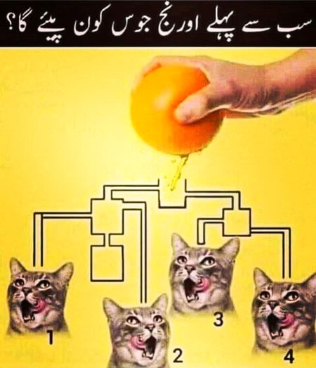 Knowledge Test image