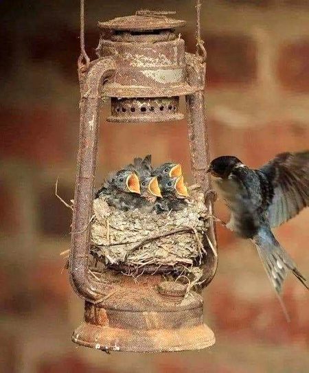 جس چیز کو انسان بے کار سمجھ کر پھینک دیتا ہے وہ کھبی دوسروں کے لیے زندگی جینے کا باعث بن جاتی ہے۔