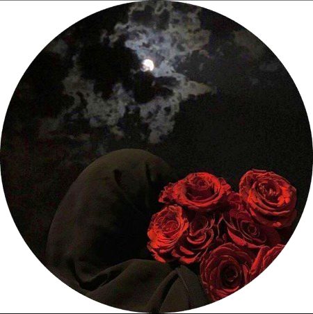 Beautiful Nature image