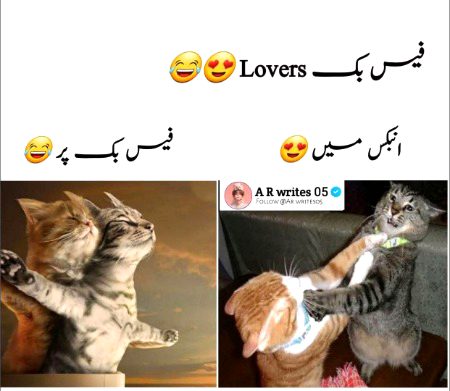 *مجھے زندگی کا اتنا تجربہ تو نہیں ____❤🩹🥹*
*پر سنا ہے سادگی میں لوگ جینے نہیں دیتے💔
