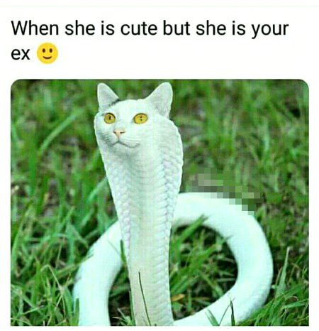 Wow!!!Strange 😱
