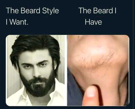 Memes & Satire image