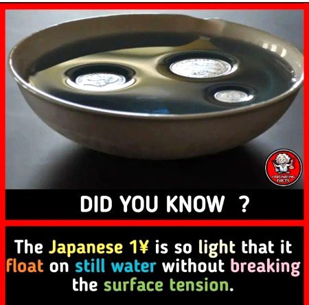 Interesting Posts image
