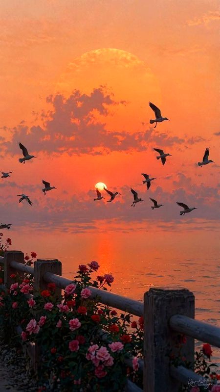 بھولے  ہیں  رفتہ  رفتہ  انہیں  مدتوں میں ہم
قسطوں میں خودکشی کا مزا ہم سے پوچھئے