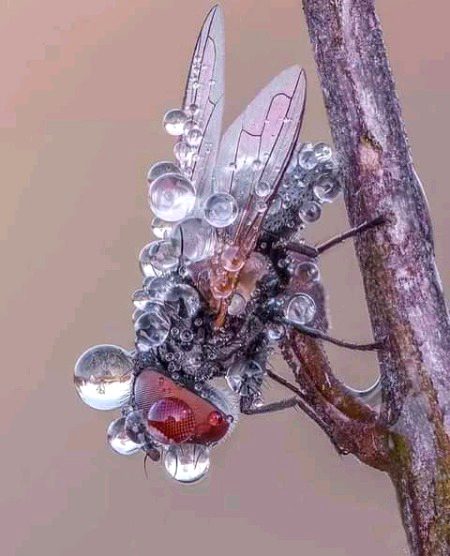 Beautiful Nature image