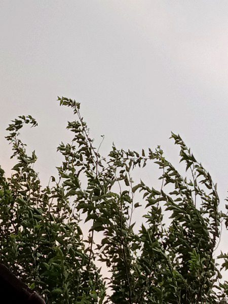 Rainy Day✨🥰💧