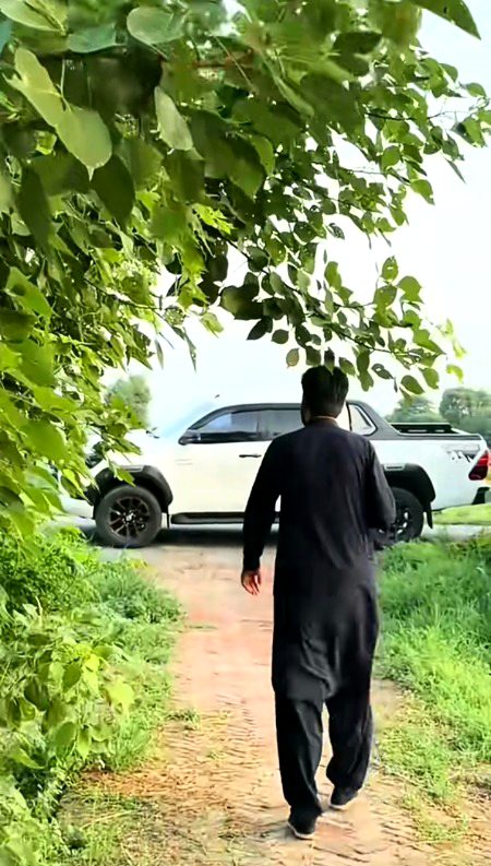 Beautiful Nature image