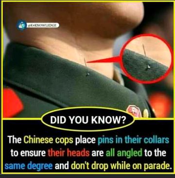 Interesting Posts image