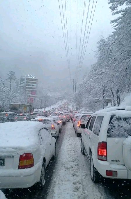 Beautiful Nature image