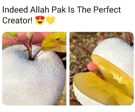 beshak