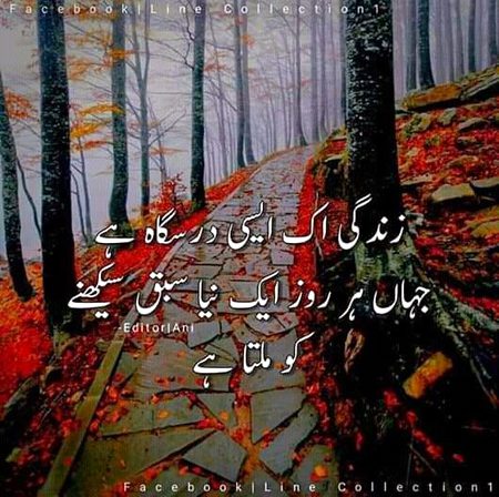 🌹 merijan-16 🌹
Bilkul